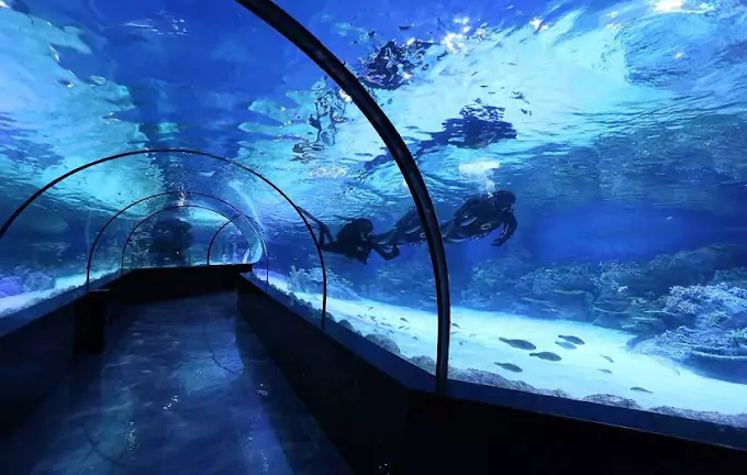 Kish Aquarium