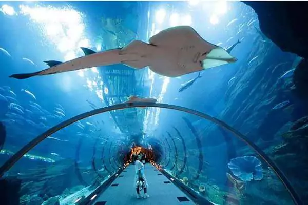 Kish Aquarium