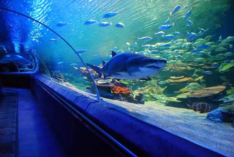 Kish Aquarium