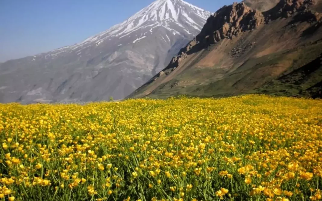 Mount Damavand Expeditions