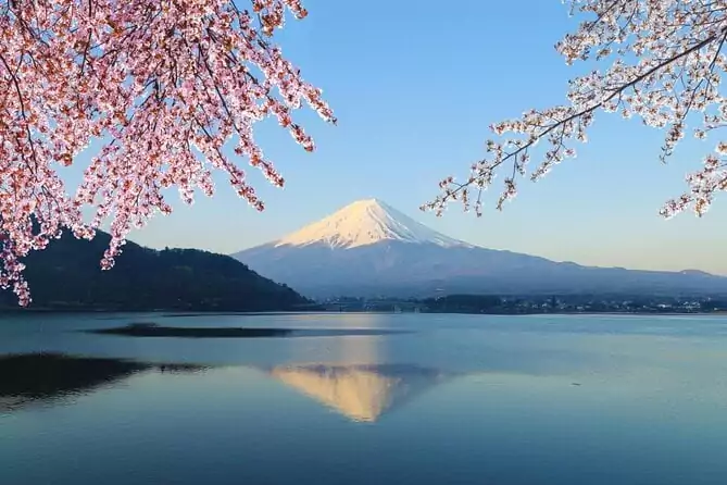 Mount Fuji Tours