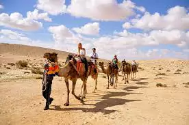 Negev Desert Sustainable Travel