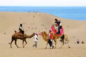 Camel ride