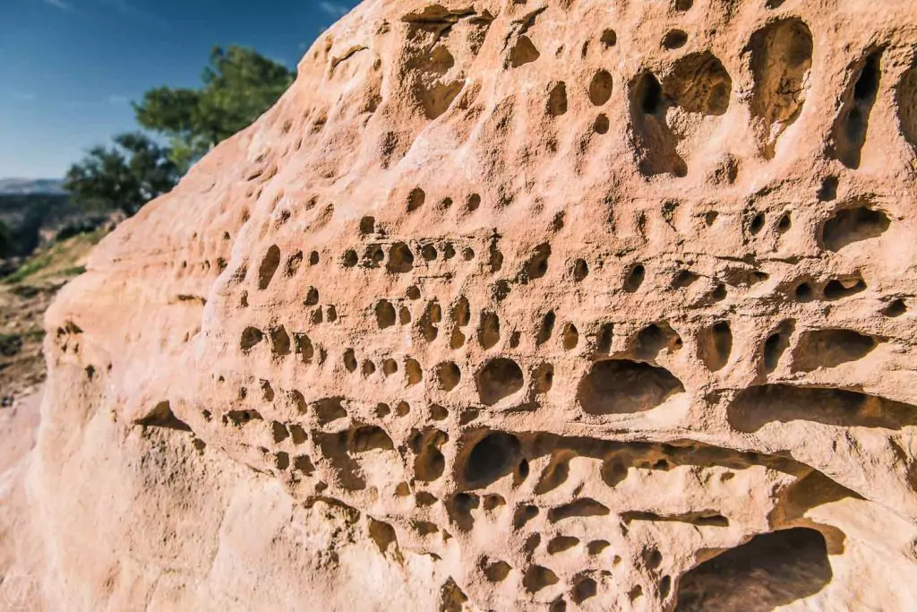 Dana Biosphere Reserve