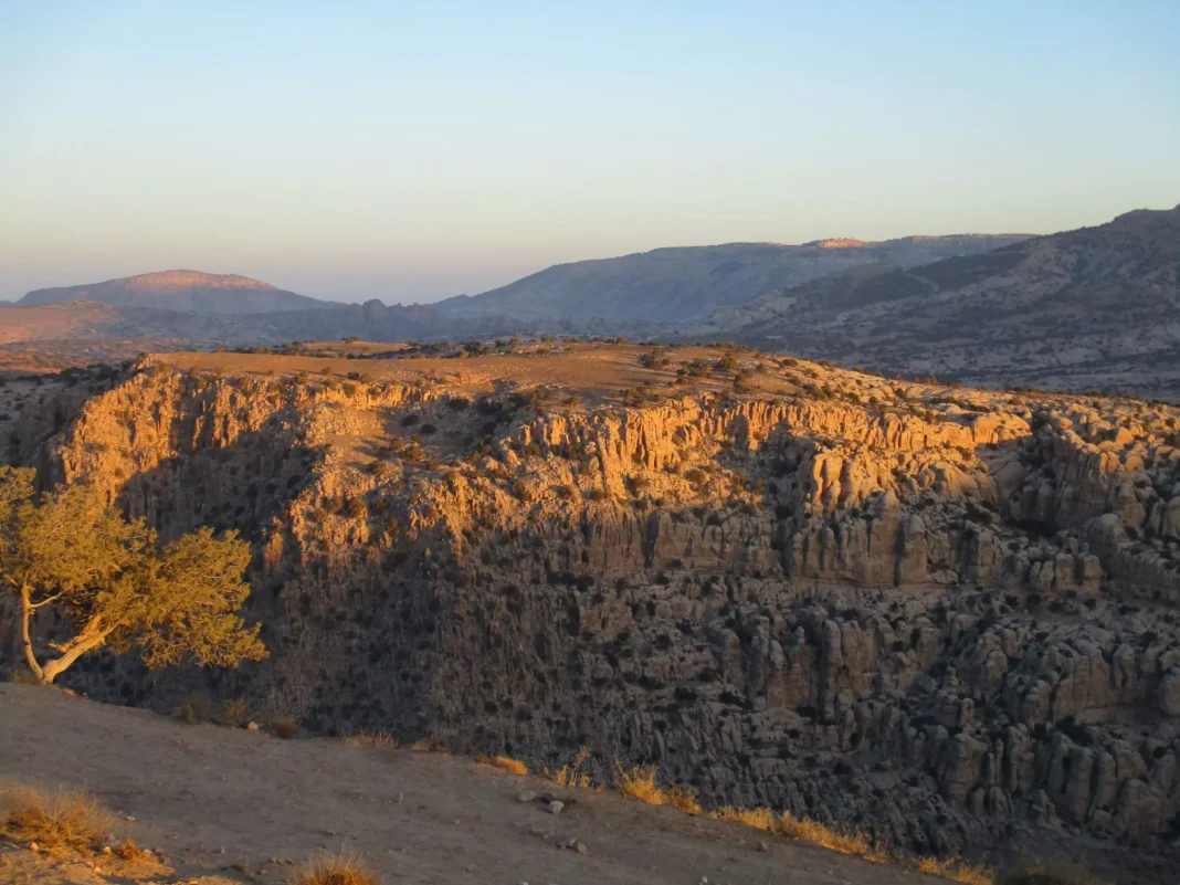 Dana Biosphere Reserve