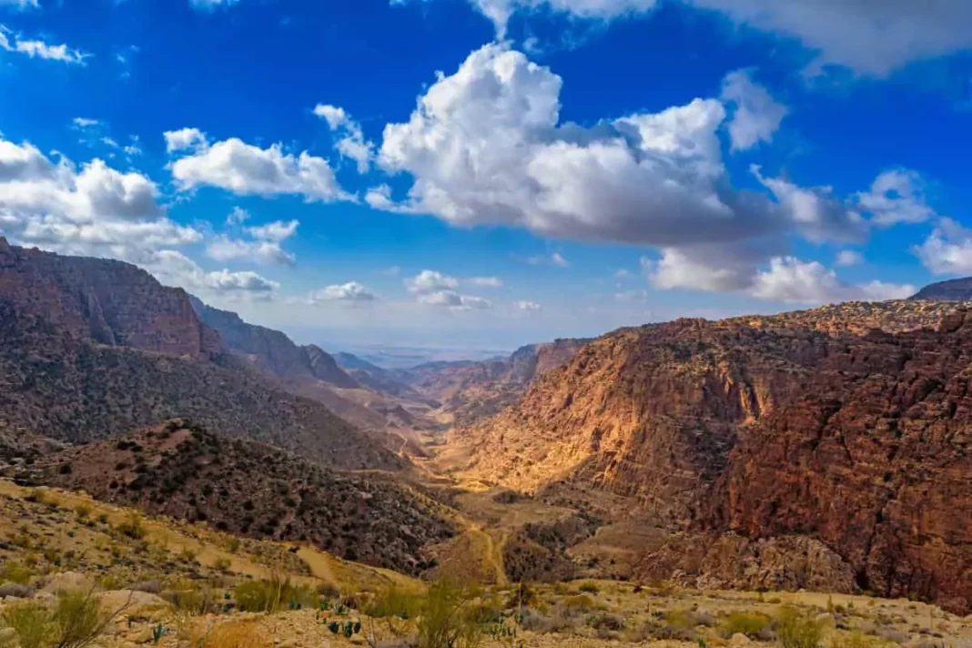 Dana Biosphere Reserve wildlife