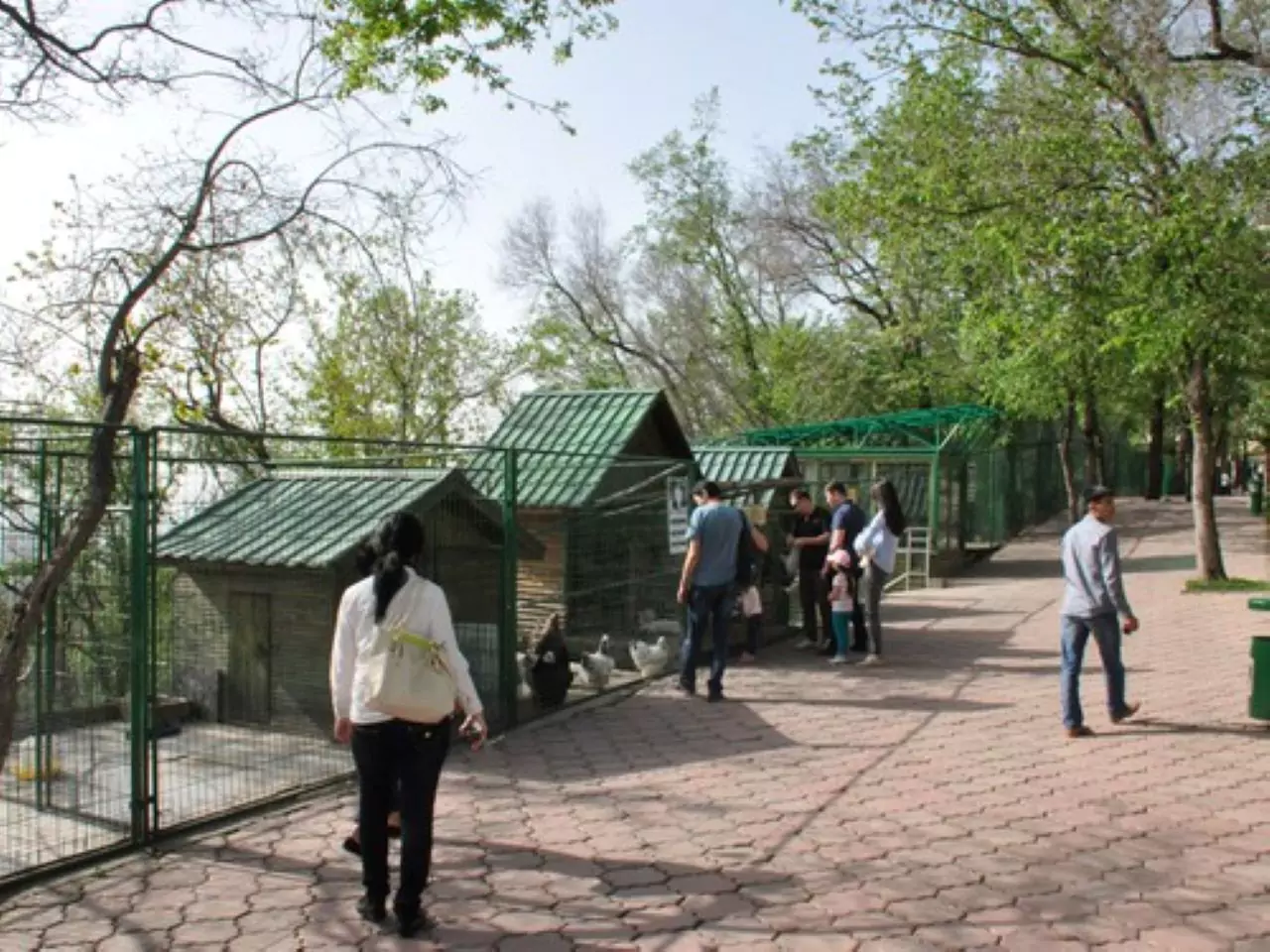 Petting Zoo - Kok Tobe Park Almaty